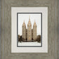 Salt Lake City Temple Warming Reflection