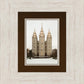 Salt Lake City Temple Warming Reflection
