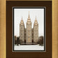 Salt Lake City Temple Warming Reflection