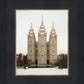 Salt Lake City Temple Warming Reflection