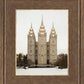 Salt Lake City Temple Warming Reflection