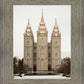 Salt Lake City Temple Warming Reflection