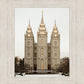 Salt Lake City Temple Warming Reflection