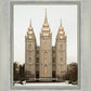 Salt Lake City Temple Warming Reflection