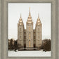 Salt Lake City Temple Warming Reflection