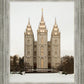 Salt Lake City Temple Warming Reflection