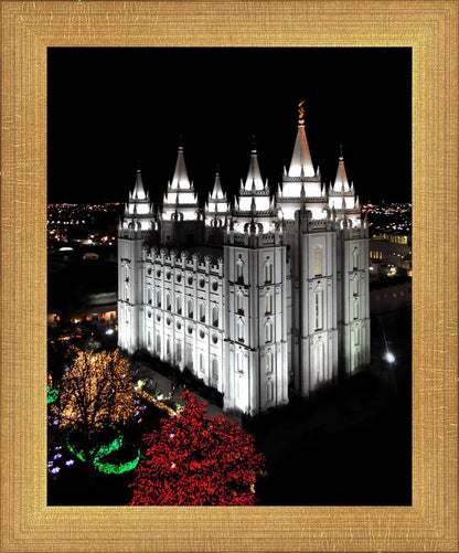 Salt Lake City Temple Wondrous Perspective
