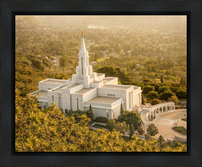 Bountiful Radiance Gallery Wrap