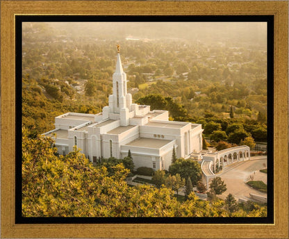 Bountiful Radiance Gallery Wrap