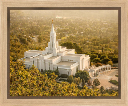 Bountiful Radiance Gallery Wrap