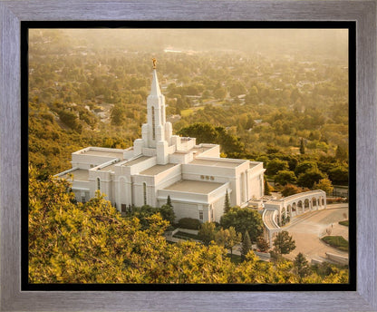 Bountiful Radiance Gallery Wrap