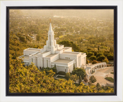 Bountiful Radiance Gallery Wrap