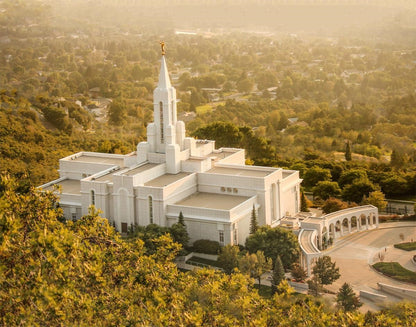 Bountiful Radiance Gallery Wrap