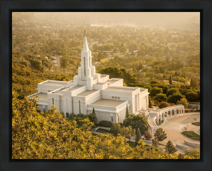 Bountiful Radiance Gallery Wrap