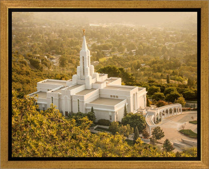 Bountiful Radiance Gallery Wrap