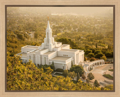 Bountiful Radiance Gallery Wrap