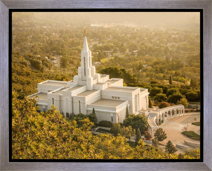 Bountiful Radiance Gallery Wrap