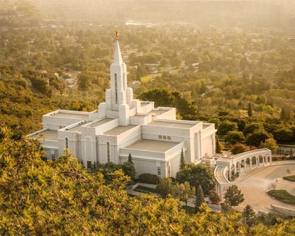 Bountiful Radiance Gallery Wrap