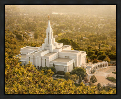 Bountiful Radiance Gallery Wrap