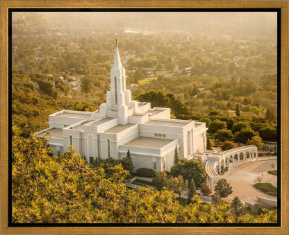 Bountiful Radiance Gallery Wrap