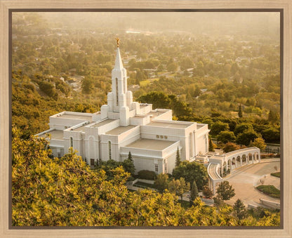 Bountiful Radiance Gallery Wrap