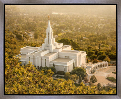 Bountiful Radiance Gallery Wrap