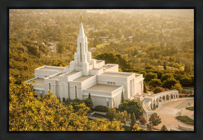 Bountiful Radiance Gallery Wrap