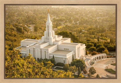 Bountiful Radiance Gallery Wrap