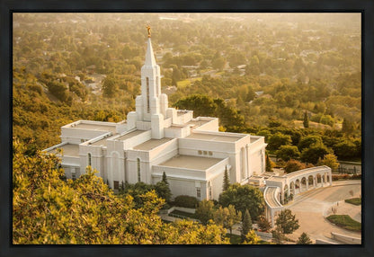 Bountiful Radiance Gallery Wrap