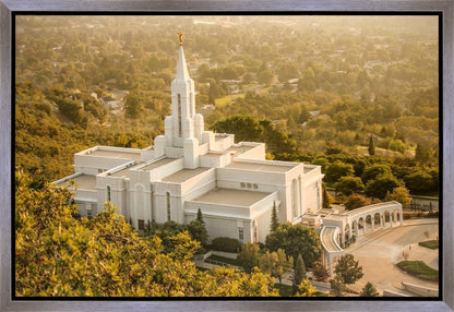 Bountiful Radiance Gallery Wrap