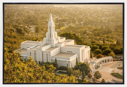 Bountiful Radiance Gallery Wrap