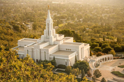 Bountiful Radiance Gallery Wrap