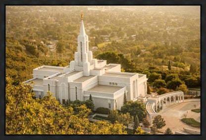 Bountiful Radiance Gallery Wrap