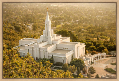 Bountiful Radiance Gallery Wrap