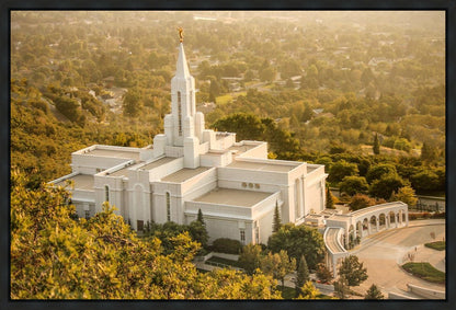 Bountiful Radiance Gallery Wrap