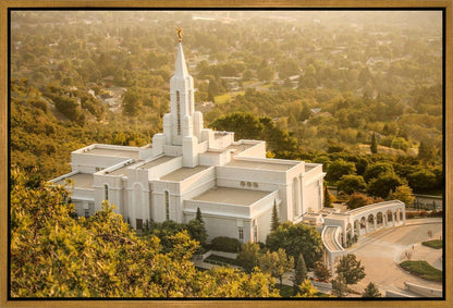 Bountiful Radiance Gallery Wrap