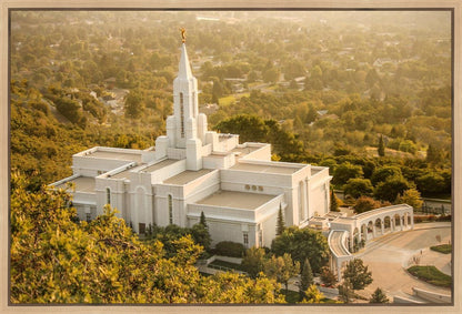 Bountiful Radiance Gallery Wrap