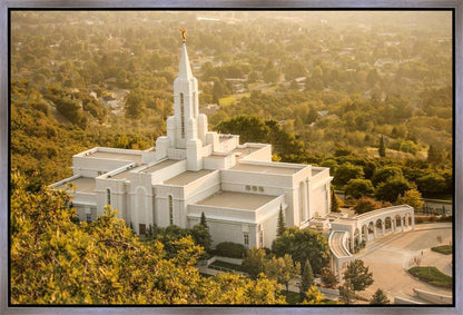 Bountiful Radiance Gallery Wrap