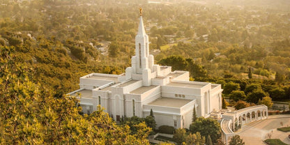 Bountiful Radiance Gallery Wrap