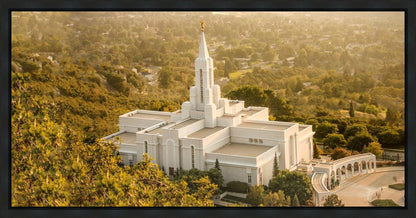 Bountiful Radiance Gallery Wrap