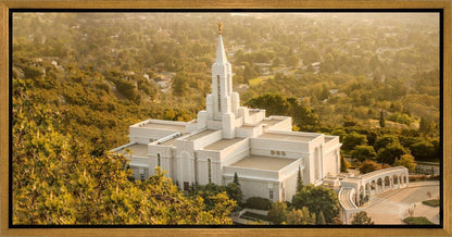 Bountiful Radiance Gallery Wrap