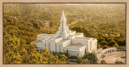 Bountiful Radiance Gallery Wrap