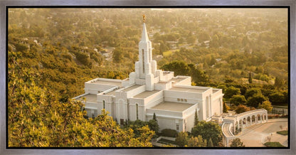 Bountiful Radiance Gallery Wrap