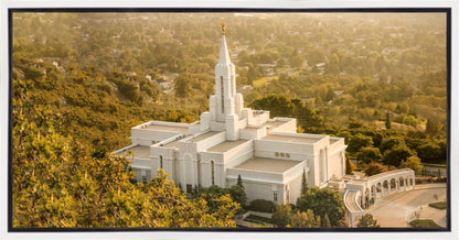 Bountiful Radiance Gallery Wrap