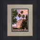 Mesa Temple One in Purpose