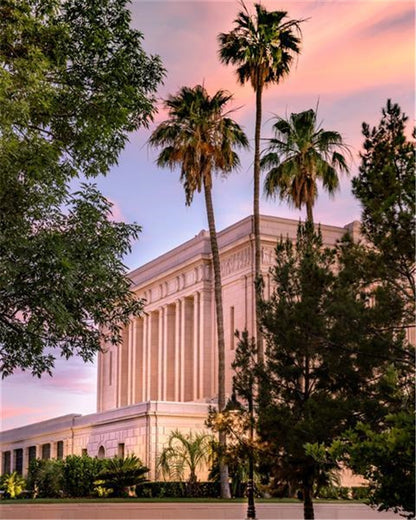 Mesa Temple One in Purpose Gallery Wrap