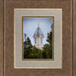 Cedar City Detail