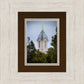 Cedar City Detail