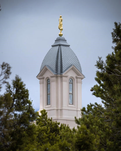 Cedar City Detail Gallery Wrap