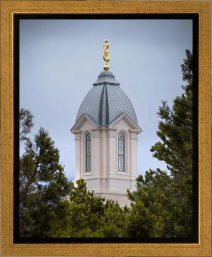 Cedar City Detail Gallery Wrap